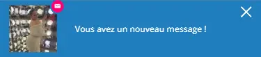 Notification d'un nouveau message reçu sur le site leboncoup